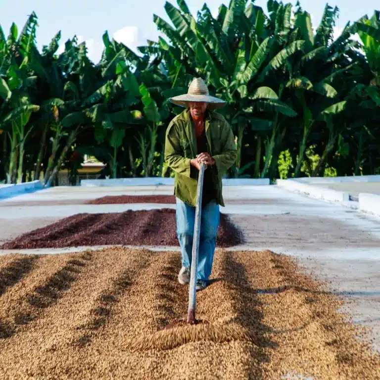 O novo valor do café: o preço subiu — e ainda bem
