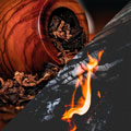 Tabaco-e-Tostado_120x120