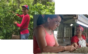 lavazza tierra cuba